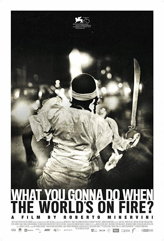 What You Gonna Do When the World's on Fire? - Posters