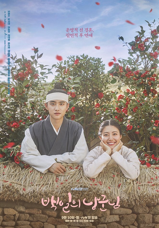 100 Days My Prince - Affiches