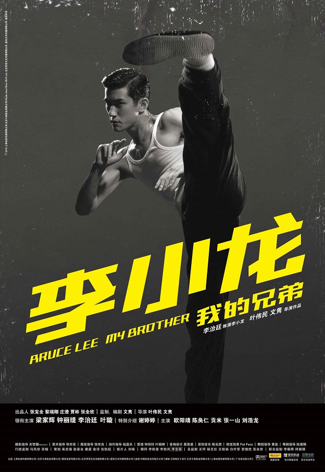 Můj bratr Bruce Lee - Plakáty