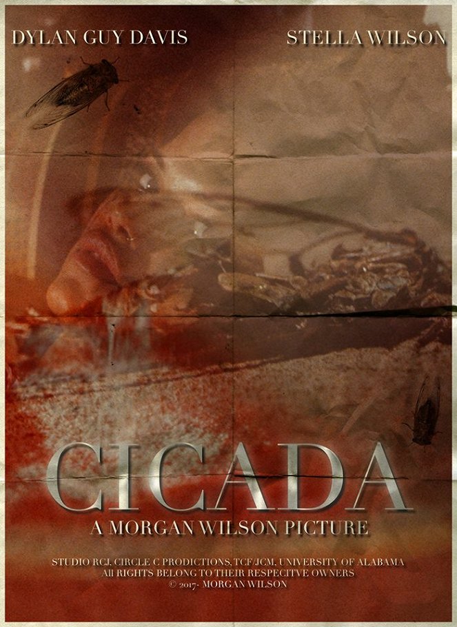 Cicada - Plakate