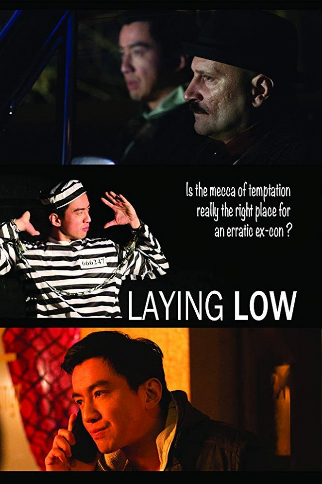Laying Low - Posters