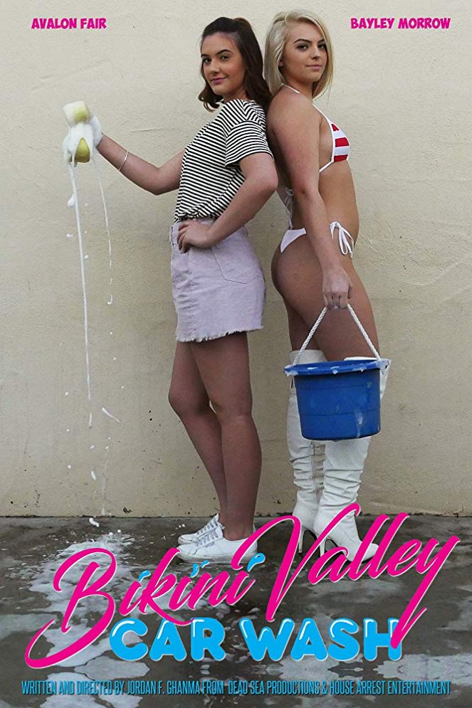 Bikini Valley Car Wash - Affiches