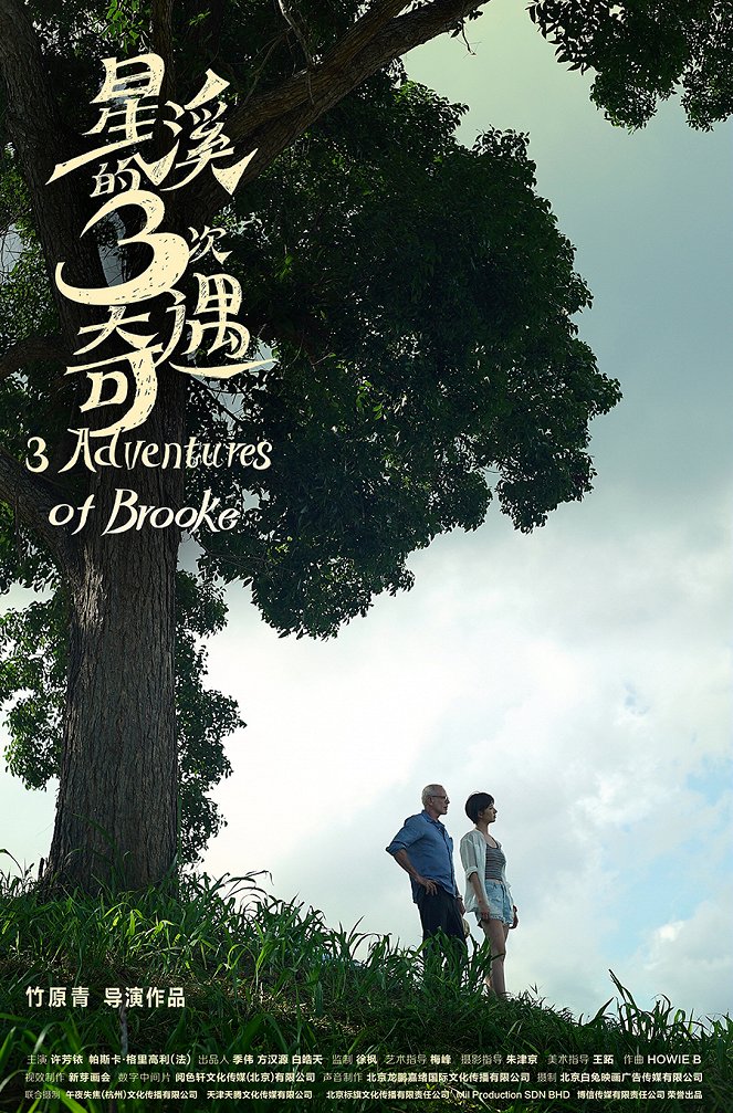 Three Adventures of Brooke - Posters
