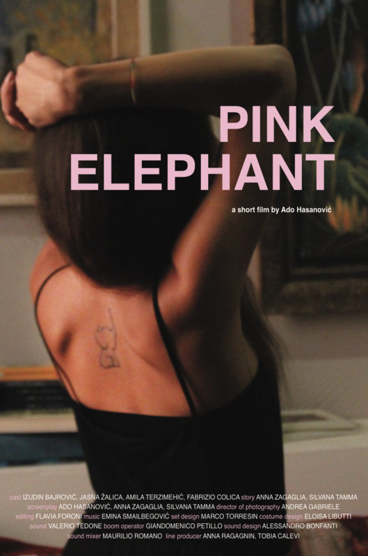 Pink Elephant - Plakate