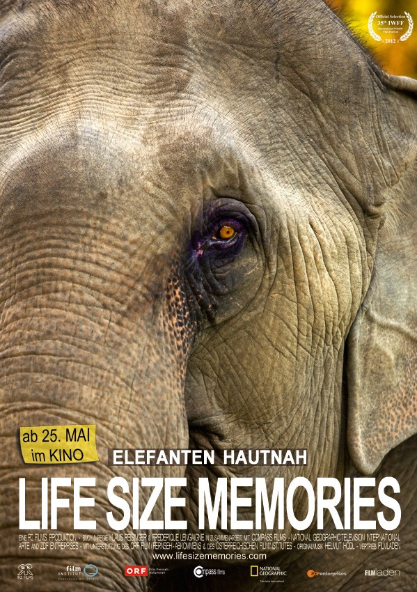 Life Size Memories - Posters