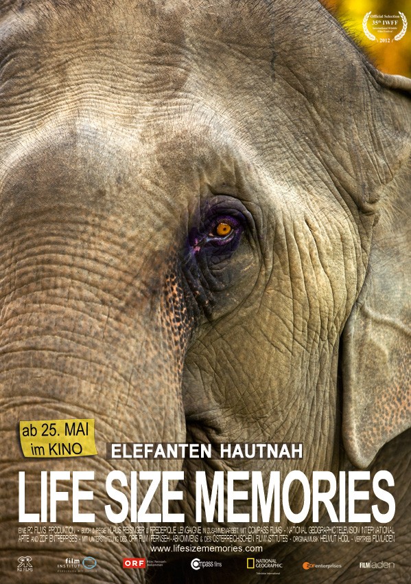 Life Size Memories - Affiches