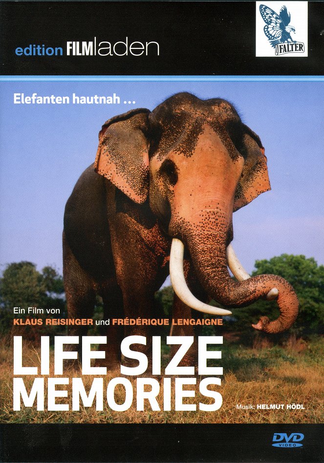 Life Size Memories - Affiches