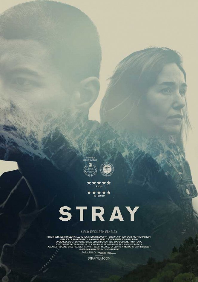 Stray - Posters