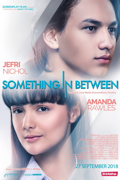Something in Between - Affiches