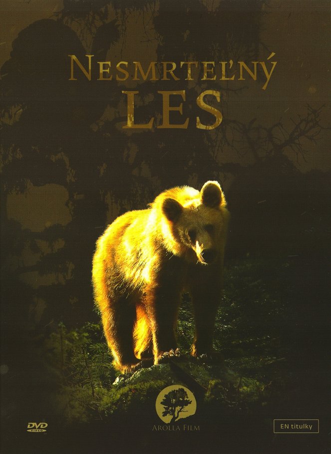 Tajomné Karpaty - Nesmrteľný les - Posters