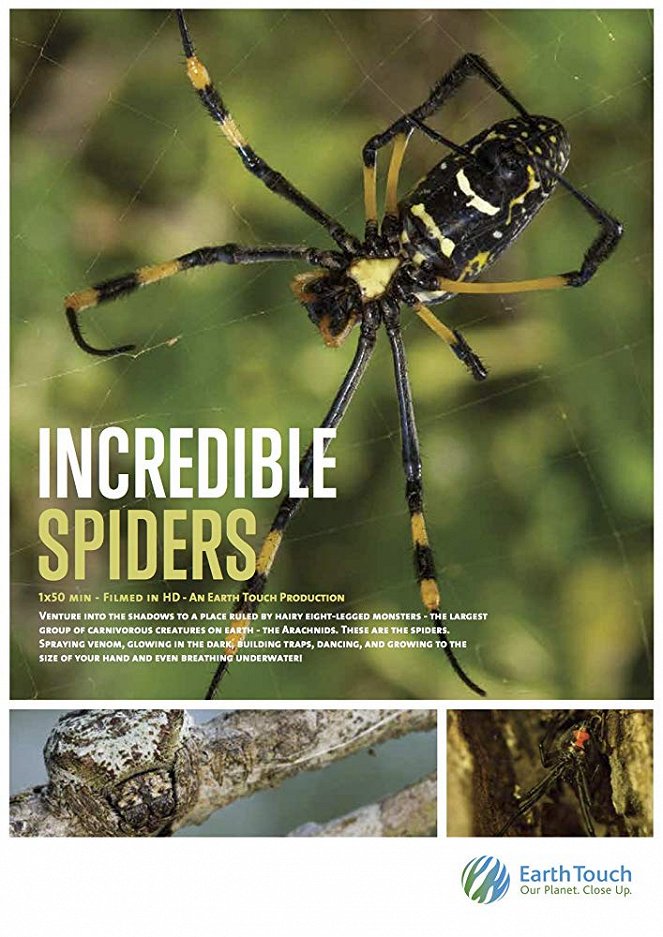 Neuvěřitelný svět pavouků - Plagáty