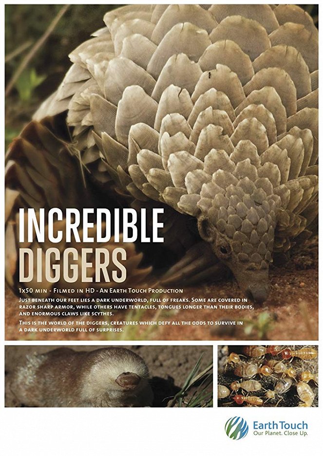 Incredible Diggers - Affiches