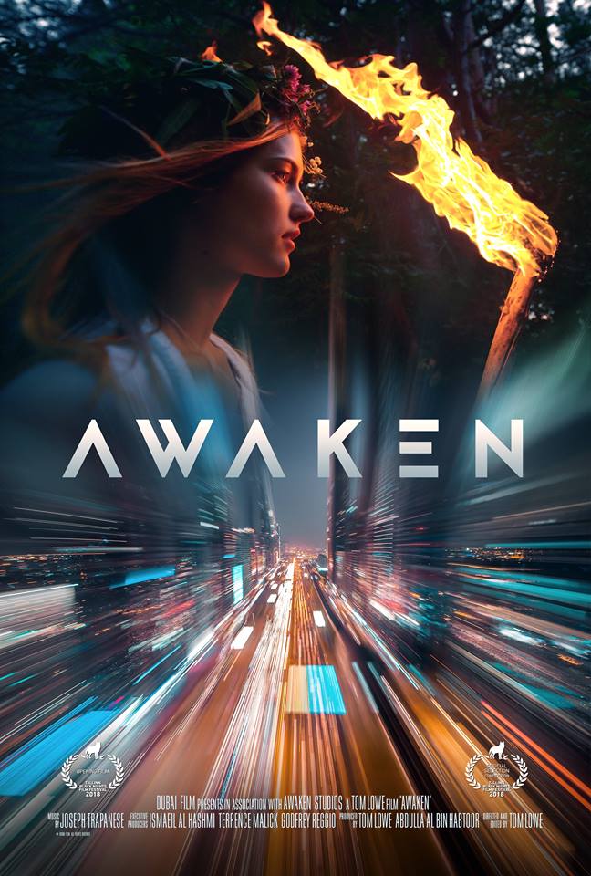 Awaken - Plakate