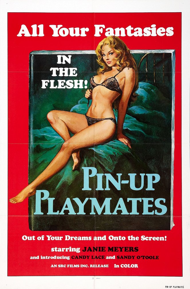 Pinup Playmates - Posters