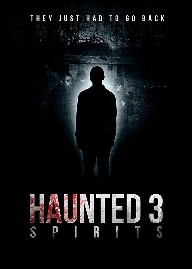 Haunted 3: Spirits - Plakate