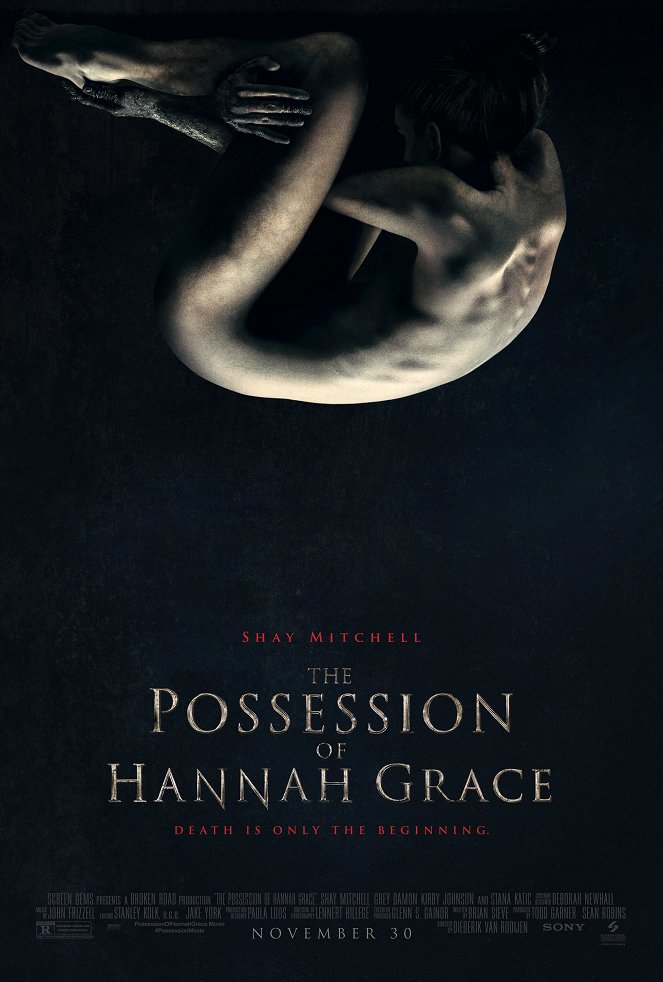 The Possession of Hannah Grace - Plakate