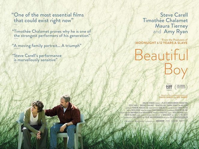 Beautiful Boy - Posters