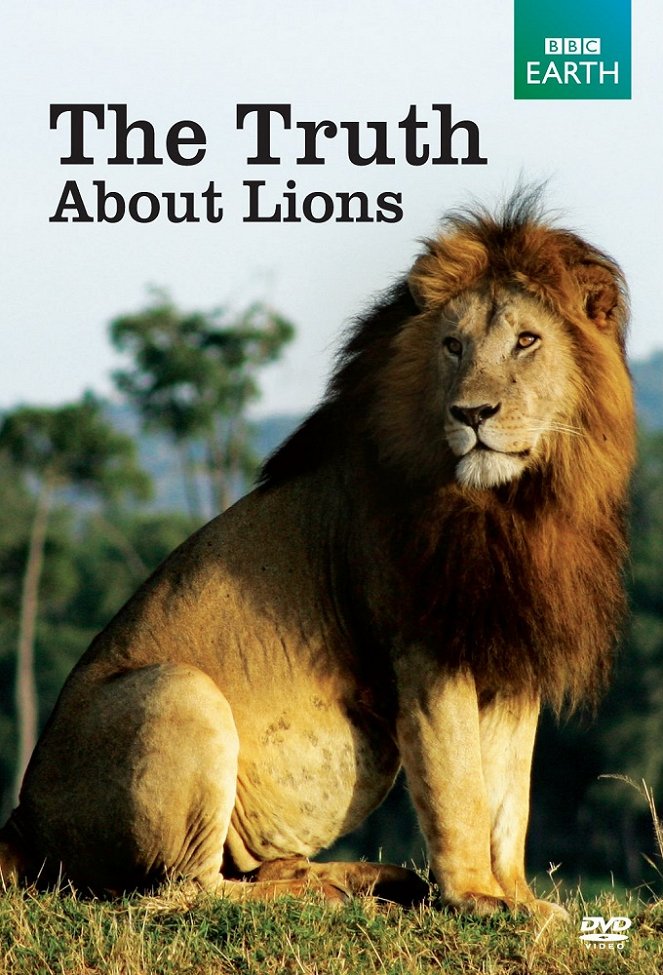 The Truth About Lions - Plakate
