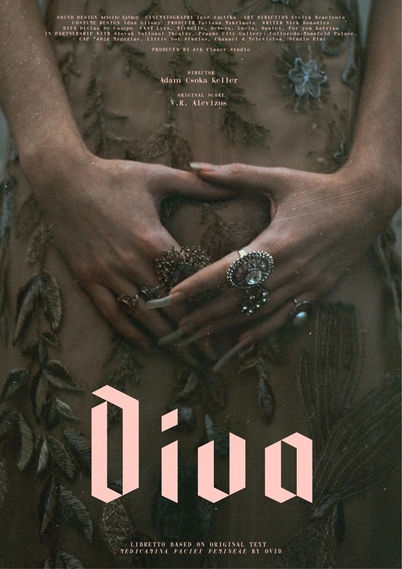 Diva - Posters