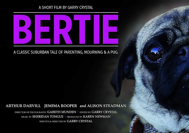 Bertie - Carteles
