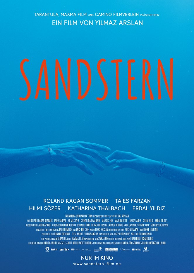 Sandstern - Posters
