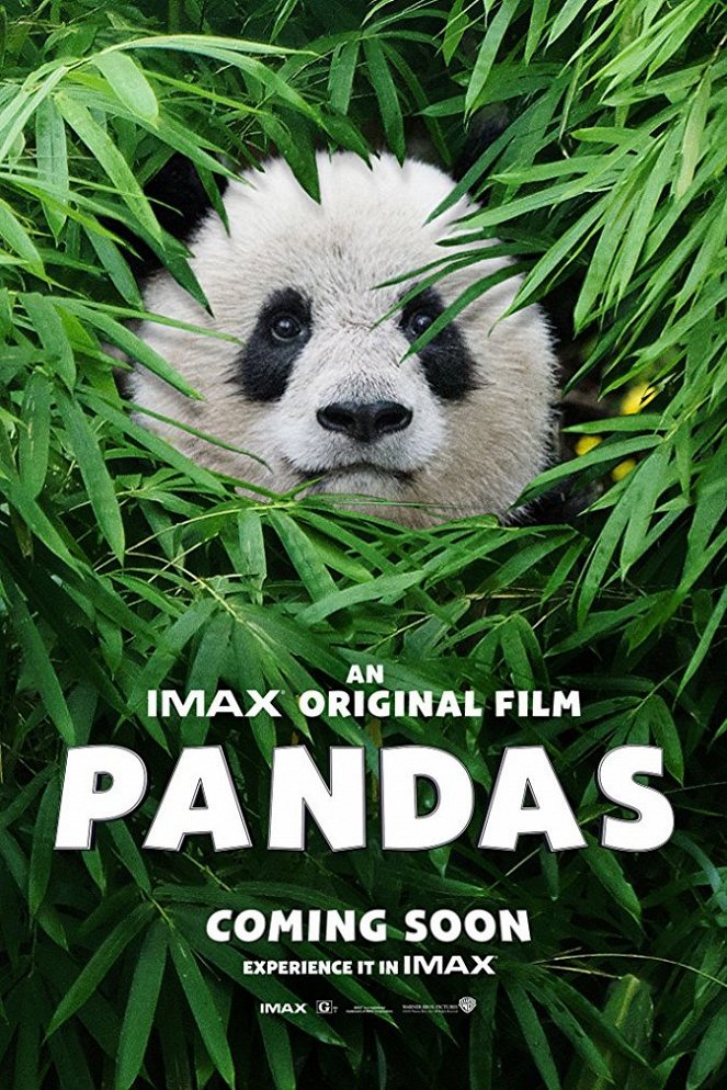 Pandas - Affiches