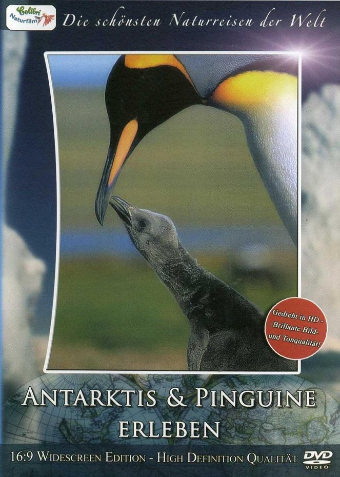 Antarktis & Pinguine erleben - Posters