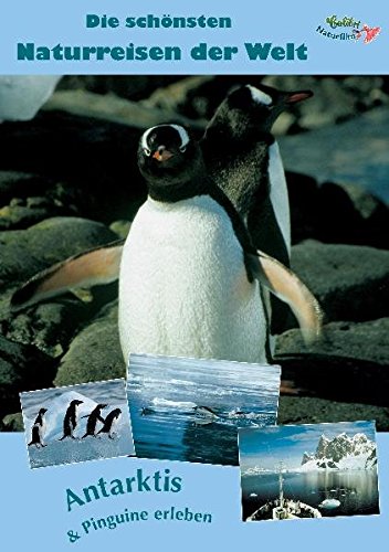 Antarktis & Pinguine erleben - Plagáty
