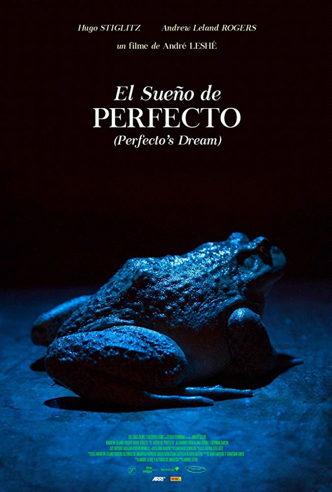 El sueño de Perfecto - Cartazes