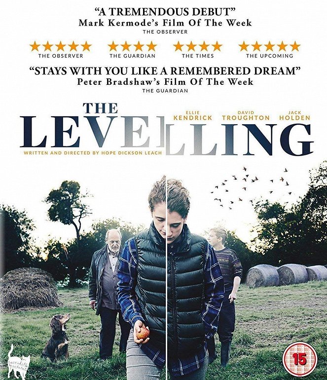 The Levelling - Posters