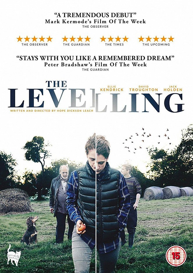 The Levelling - Posters