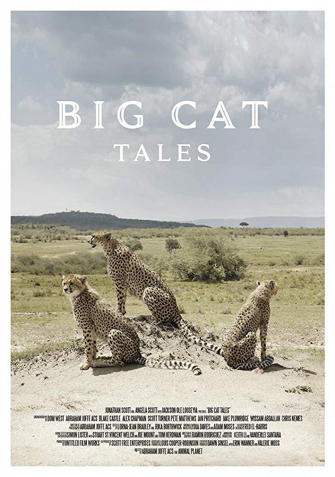 Big Cat Tales - Posters