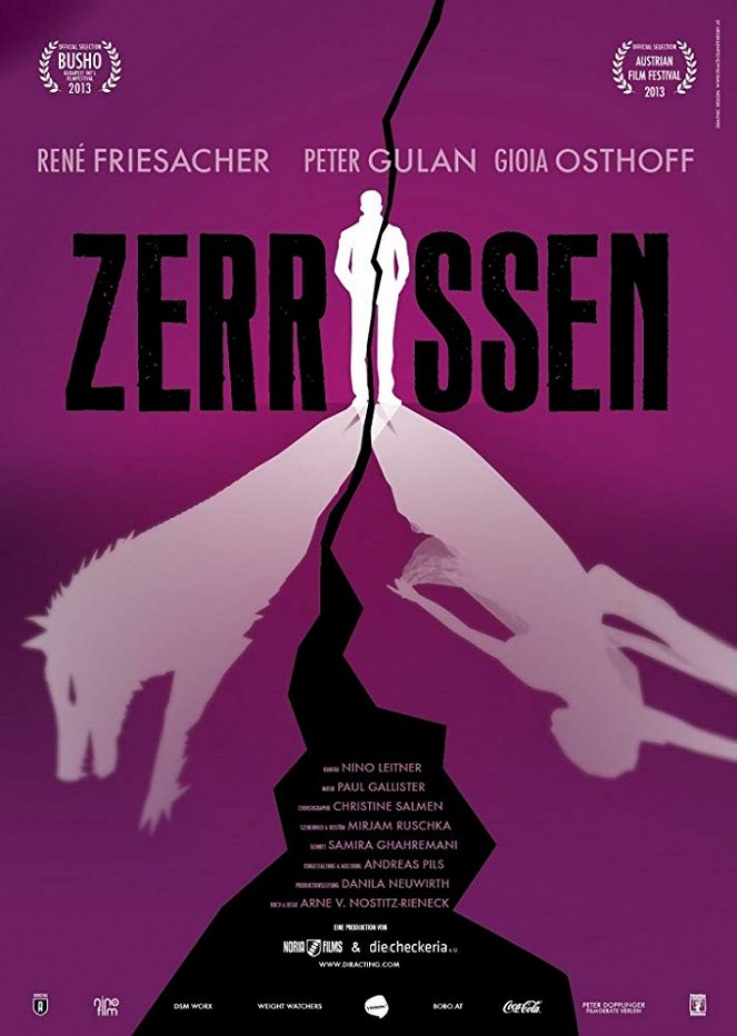 Zerrissen - Plakaty