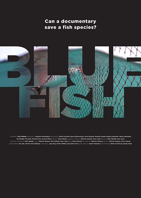Bluefish - Plakátok
