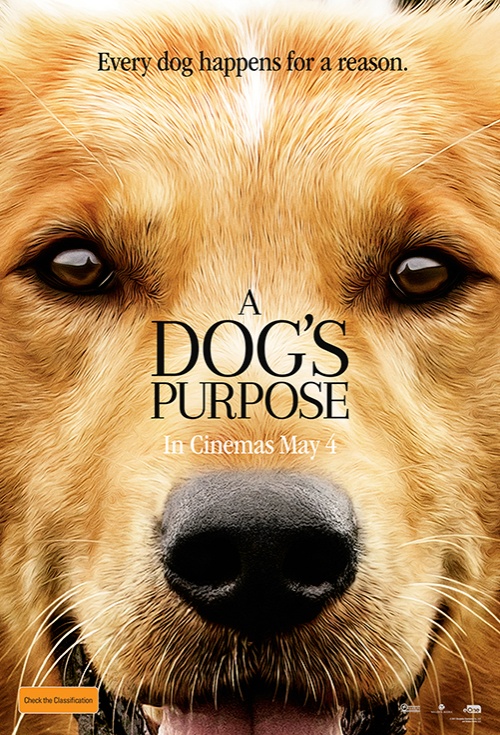 A Dog's Purpose - Posters