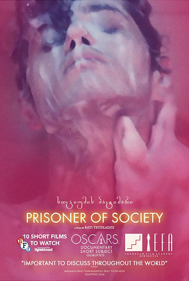 Prisoner of Society - Posters