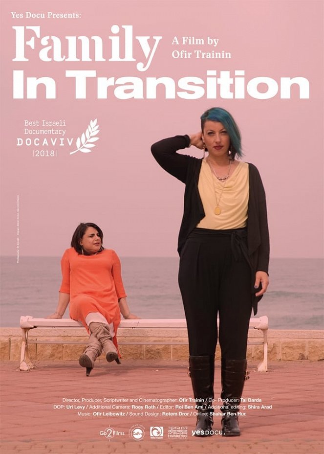 Family in Transition - Posters