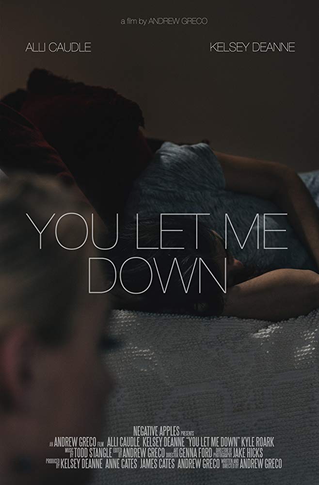 You Let Me Down - Plakátok