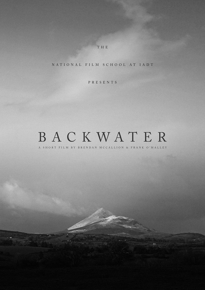Backwater - Carteles