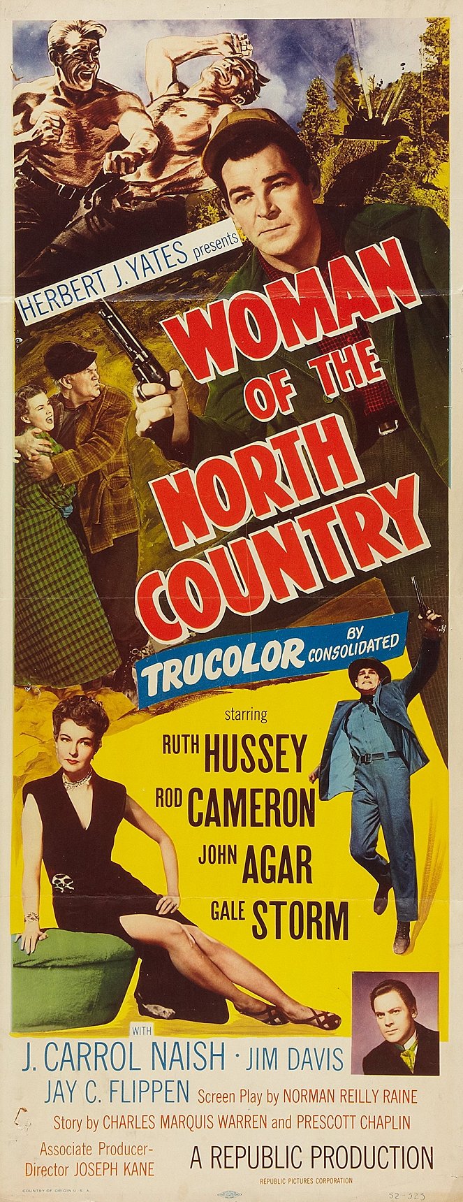 Woman of the North Country - Plakaty