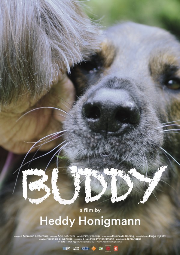 Buddy - Plagáty