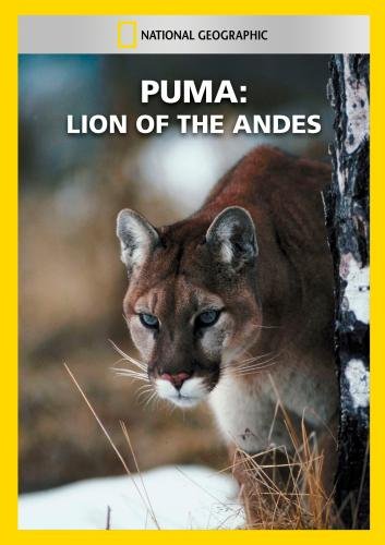 Puma: Lion of the Andes - Plakate