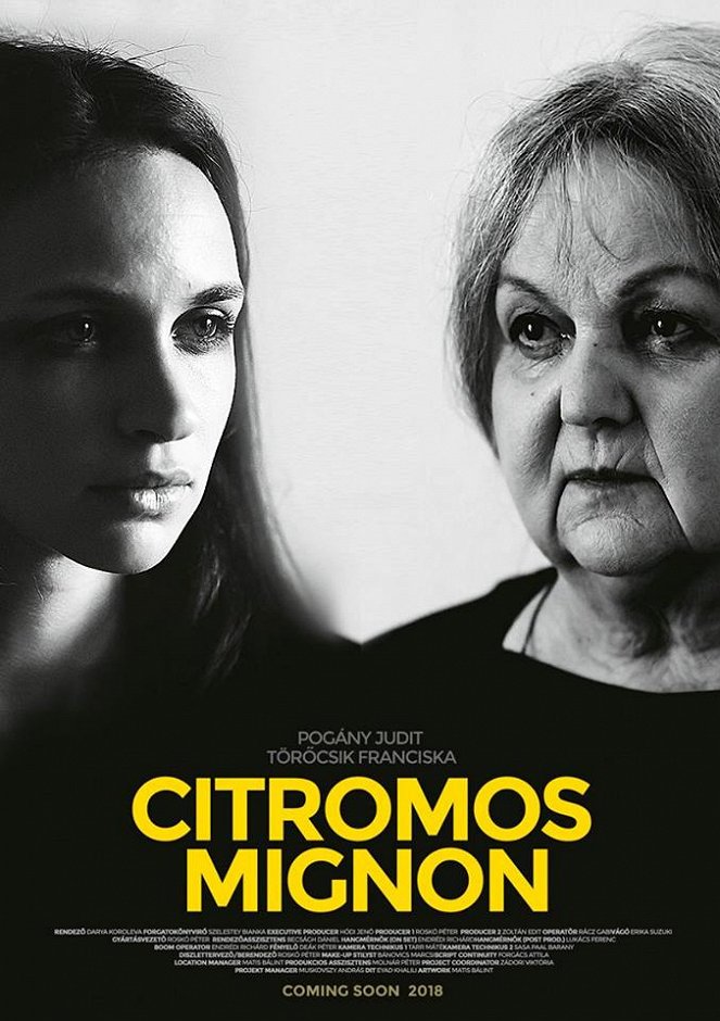 Citromos Mignon - Posters