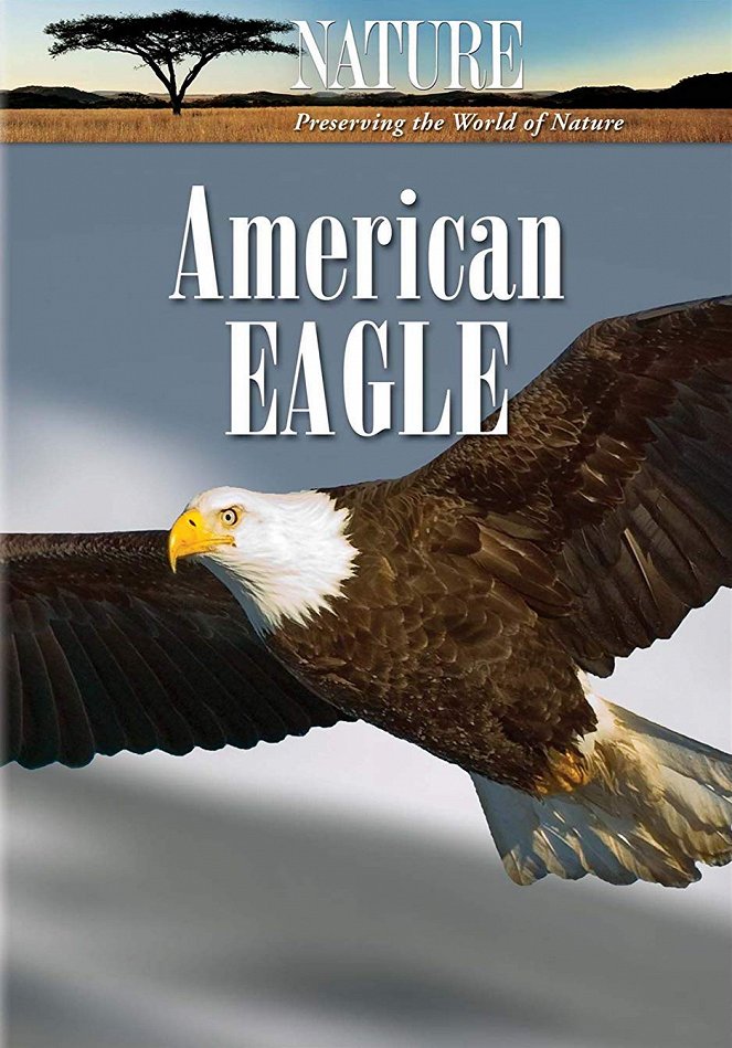 Nature: American Eagle - Affiches