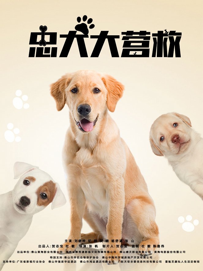 Save My Dogs - Plakátok