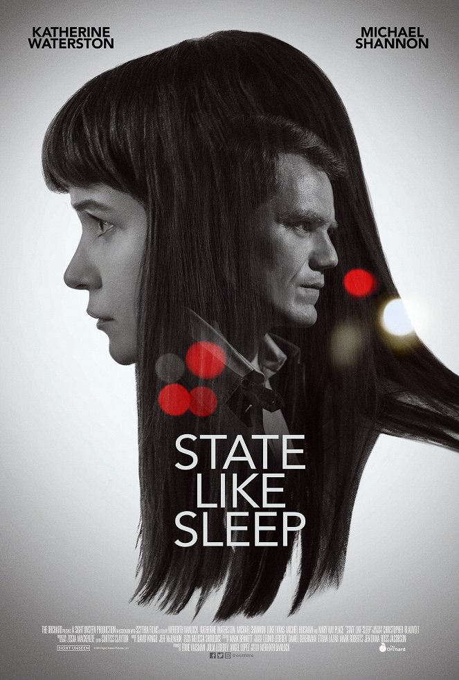 State Like Sleep - Posters