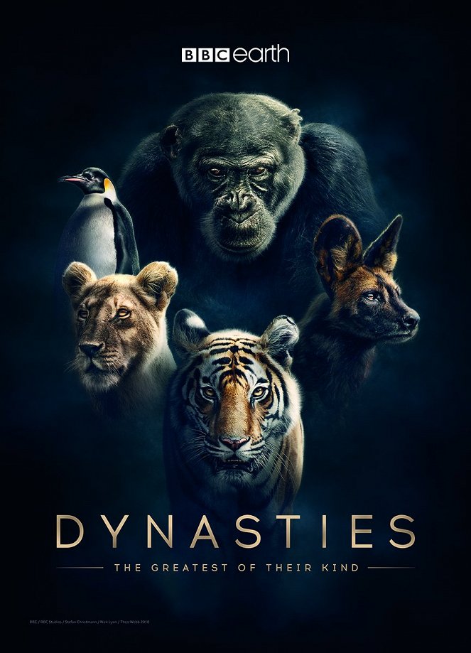 Erlebnis Erde: Wilde Dynastien - Universum: Dynasties - Der Clan der Tiere - Season 1 - Plakate