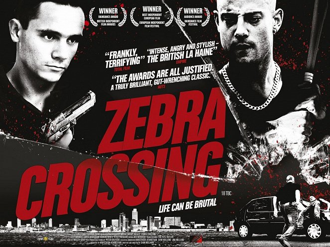 Zebra Crossing - Plakáty