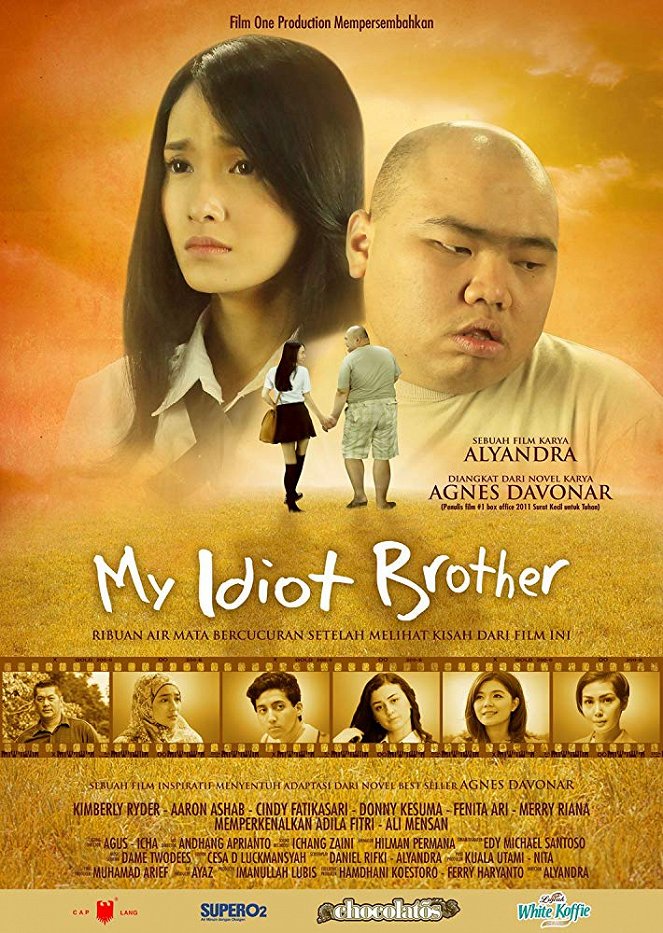 My Idiot Brother - Plakátok