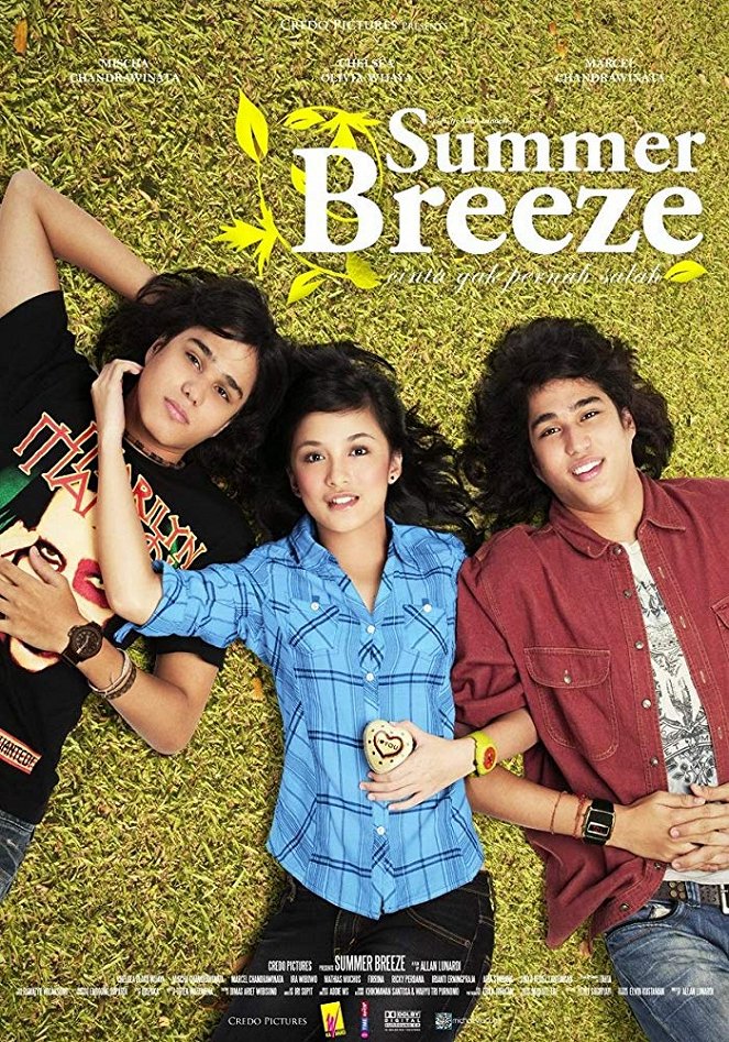 Summer Breeze - Plakátok